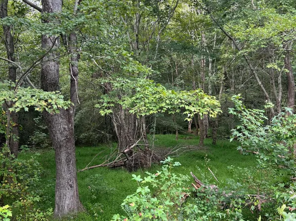 LOT 3 Us Highway 264a Lot 3, Bailey, NC 27807