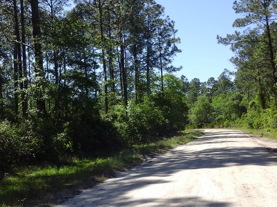 1st image of 113 Bass Ln