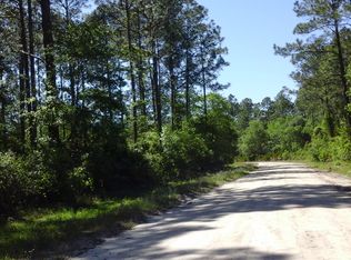 113 Bass Ln, Palatka, FL 32177