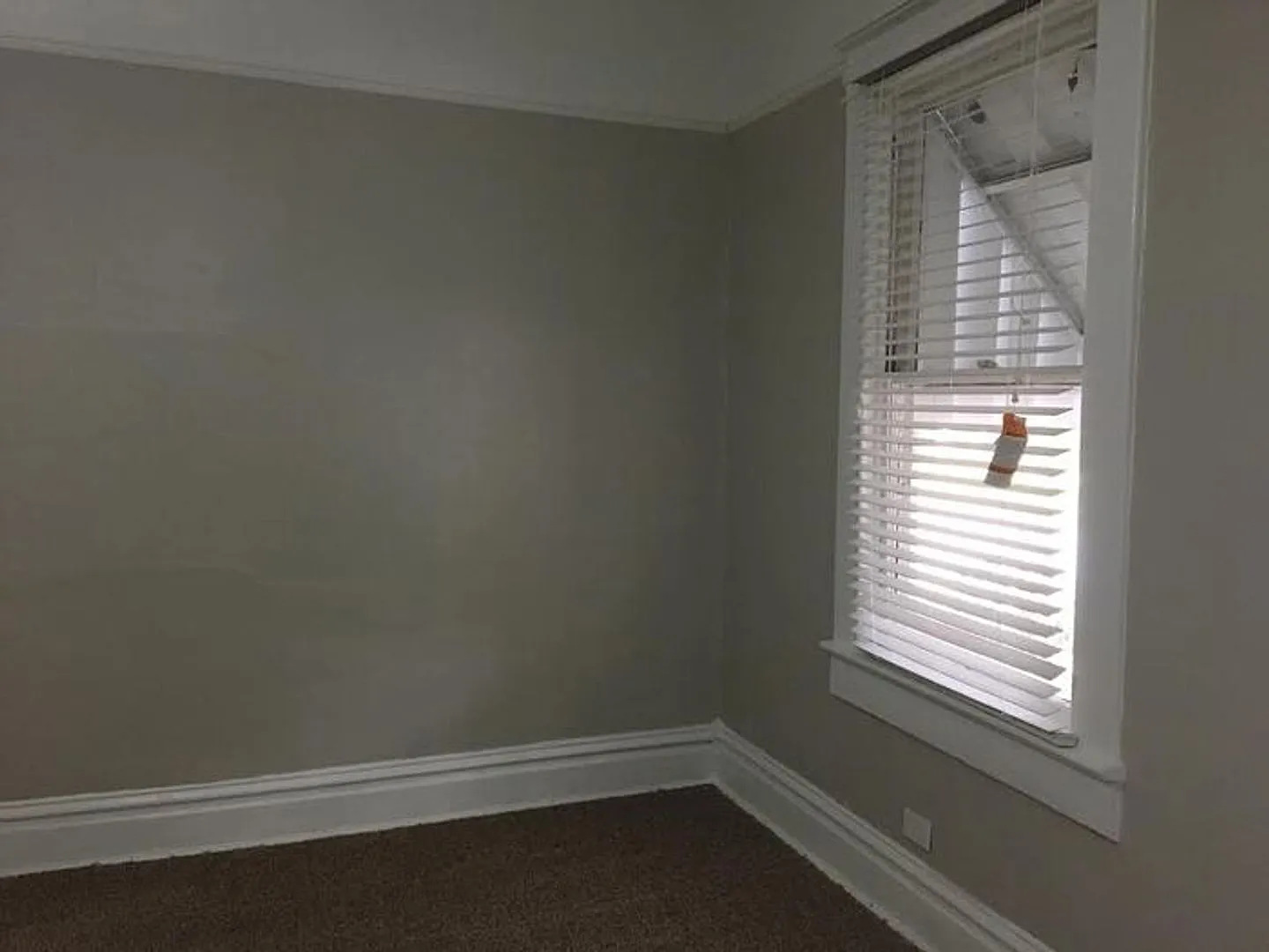 Earlewood apartment — Photo 3