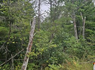 Rollways Rd, South branch, MI 48761