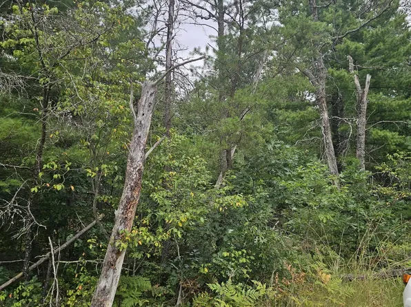 Rollways Rd, South Branch, MI 48761