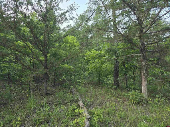 001-01664 N Hopewell Hollow Rd #0, Norfork, AR 72658