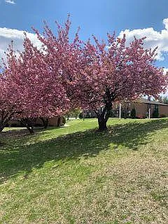 Brooklawn Gardens Parlin Apartments — Photo 17