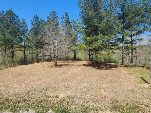 0 County Road 373, Crane Hill, AL 35053