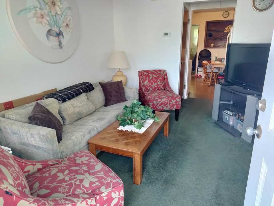front entrance into living room, carpeted floor leading into kitchen.