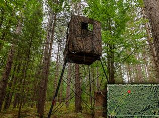 V/l E Newman Rd, Lake City, MI 49651