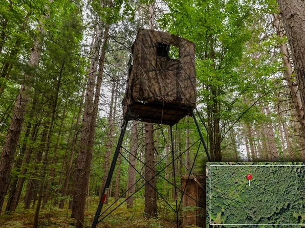 V/l E Newman Rd, Lake City, MI 49651