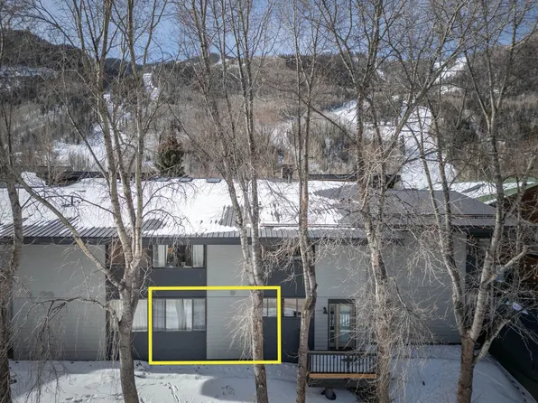 619 W Columbia Ave #E137, Telluride, CO 81435