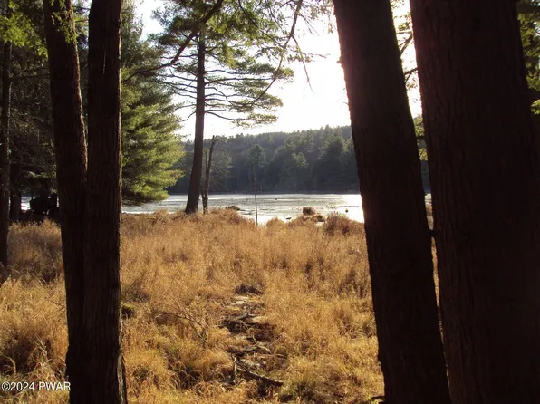 153 Woodledge East Lake Dr, Hawley, PA 18428