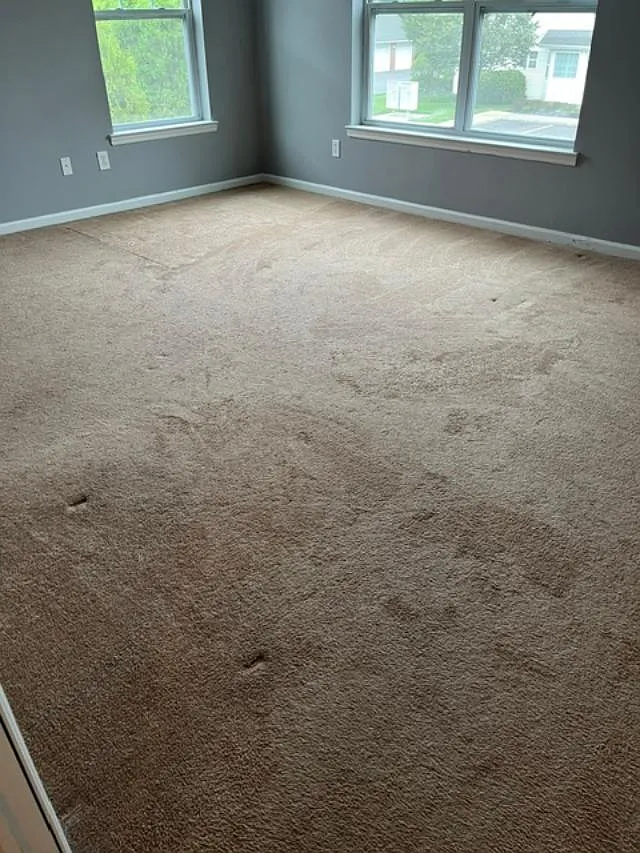 2 bed, 1100 sqft, $3,700 — Photo 2