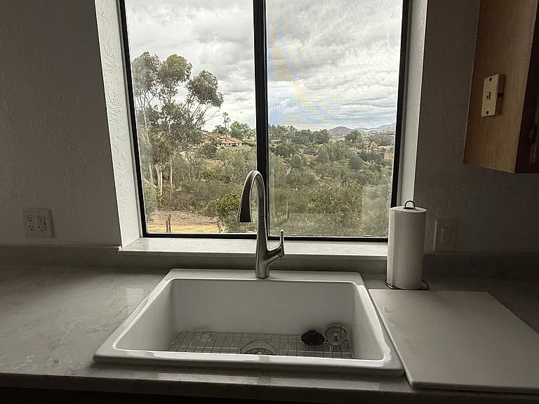 New Kitchen Sink & Faucet/Counters