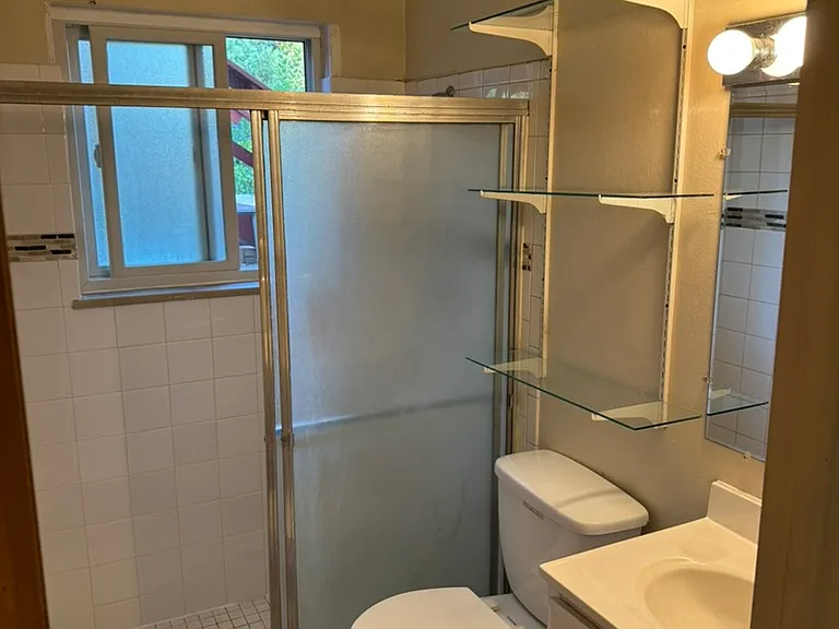 Lower level 3/4 bathroom