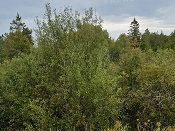 2 Cherry Hill Rd, Northern Bruce Peninsula, ON N0H 1W0