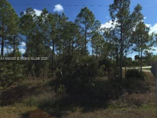 1100 Sheldon Ave, Lehigh Acres, FL 33936