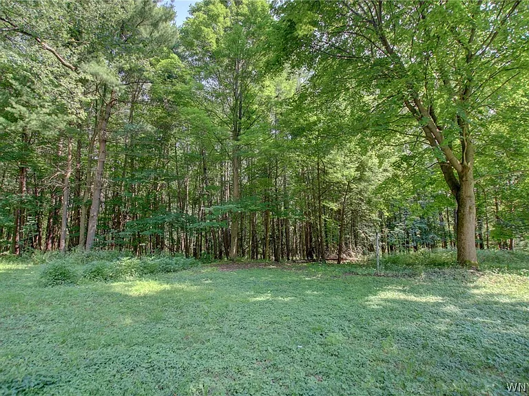 5880 Draudt Rd — Photo 4