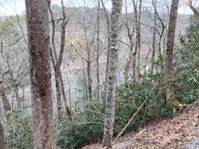 0 Fugue Dr, Ellijay, GA, 30540