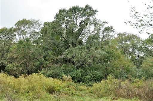 2nd image of Old Joe Moran Rd