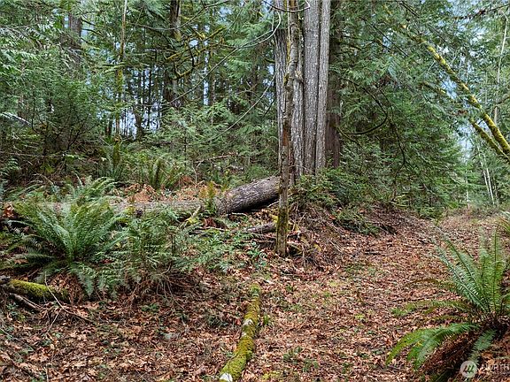 4th image of 0 N Olympic Trails Drive