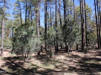 LOT 4 N Wild Oak Dr, Payson, AZ, 85541