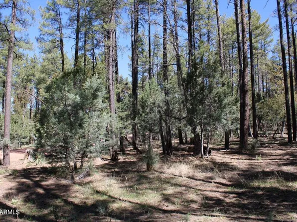 Lot 4 Wild Oak Drive #4, Payson, AZ 85541