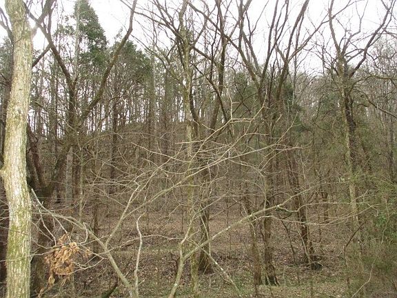 3rd image of 0 Rogues Fork Rd