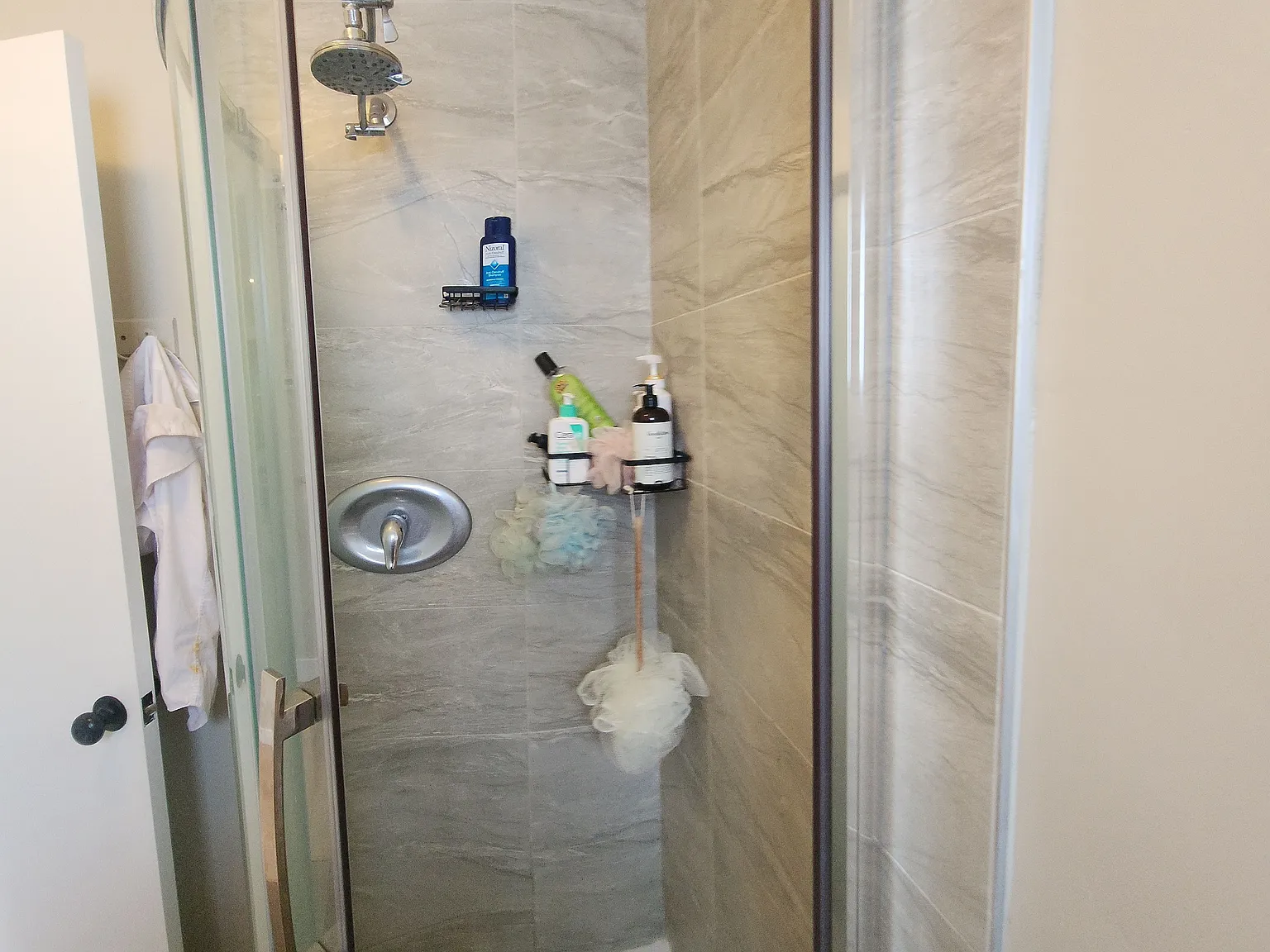 3 bed, $3,650 — Photo 4