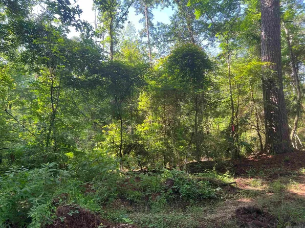 LOT 2 Hepzibah Rd, Clinton, LA 70722