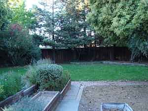Large Back Yard