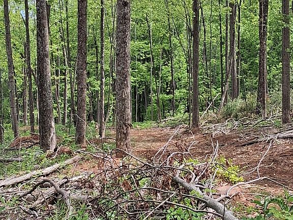 5th image of 0 Robinson Gap Rd