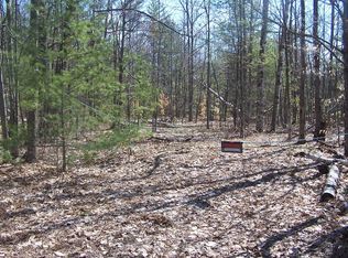 16271 Wild Life Rd, Wolverine, MI 49799