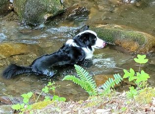 1052 Ray Creek Rd, Franklin, NC 28734