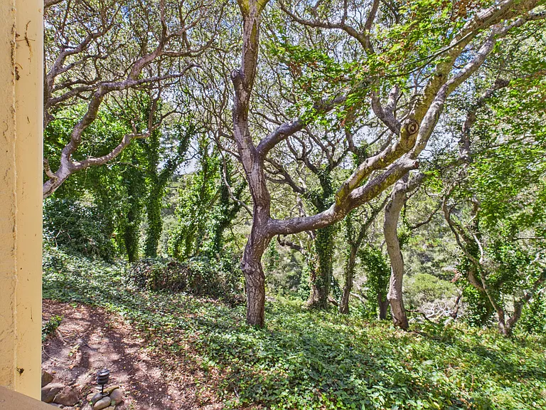 3102 Golden Oaks Ln — Photo 18