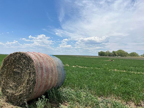 3rd image of 0 County Road 33