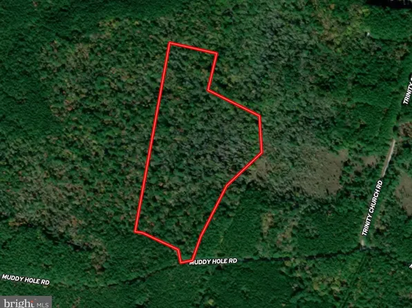 Muddy Hole Rd, Tyaskin, MD 21865