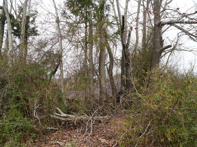 1225 Tobacco Rd, Nathalie, VA, 24577