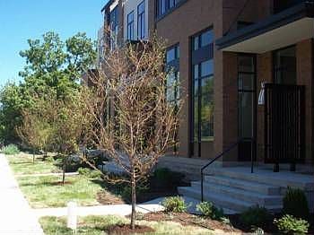 1st image of 209 S 11th St