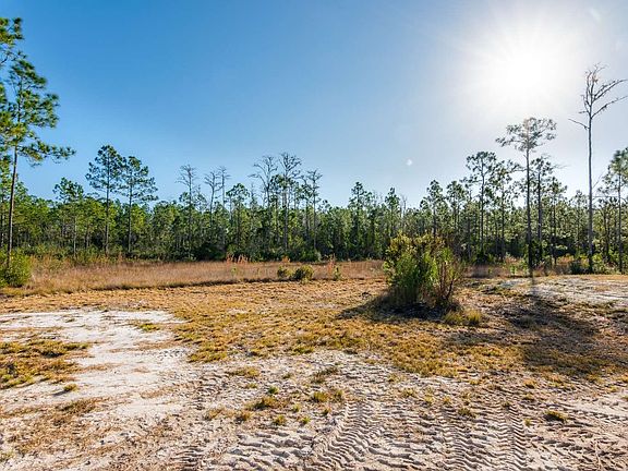 4th image of 17831 N Tommy Rd