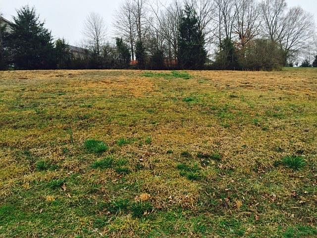 1st image of 0 Scenic Harpeth Dr Lot 148