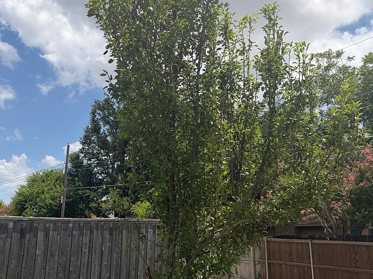 715 Kindred Ln — Photo 27