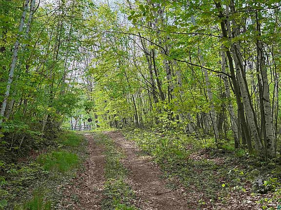 5th image of LOT 4 S Peterson Rd