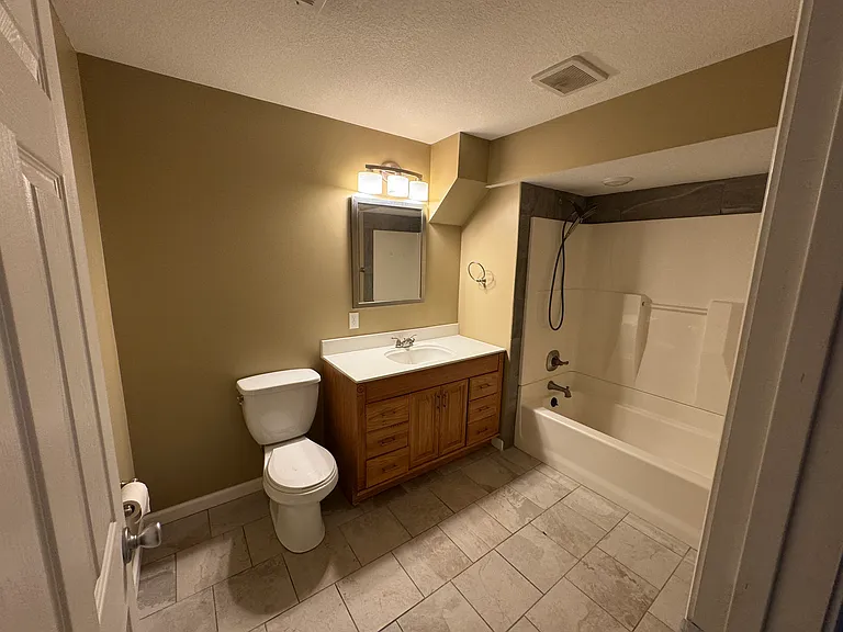 Basement Bathroom