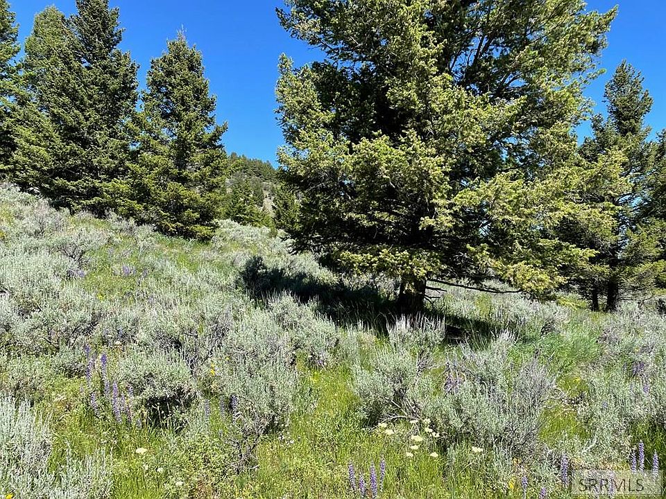 Forest Road Trail Crk, Leadore, ID 83464 Zillow