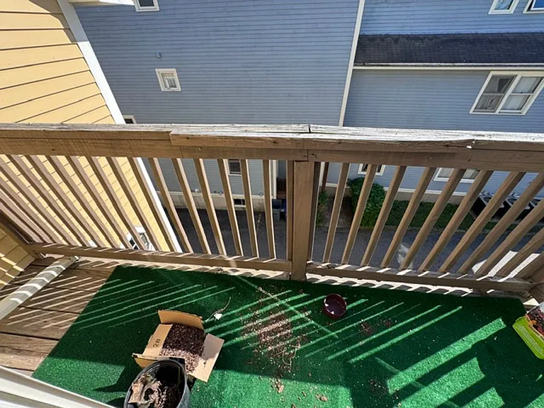 250 Allston St #A — Photo 14