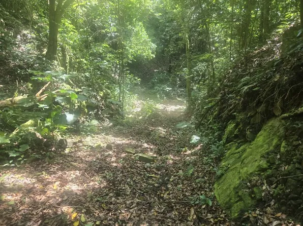 Bo Jamiel Sector Carmelitas, Ponce, PR 00731