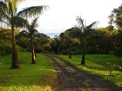 35-13 Kahawailani Pl — Photo 10