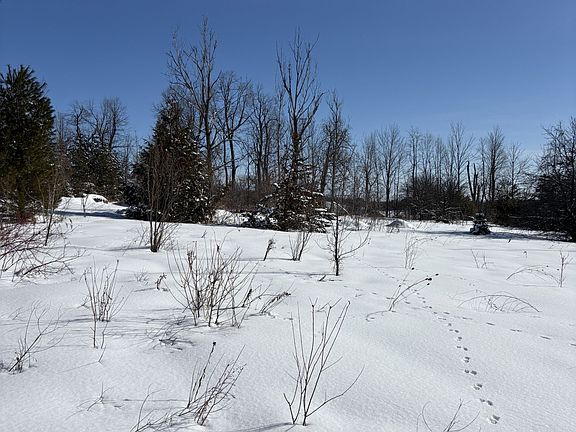 5th image of 5 Pollock Rd