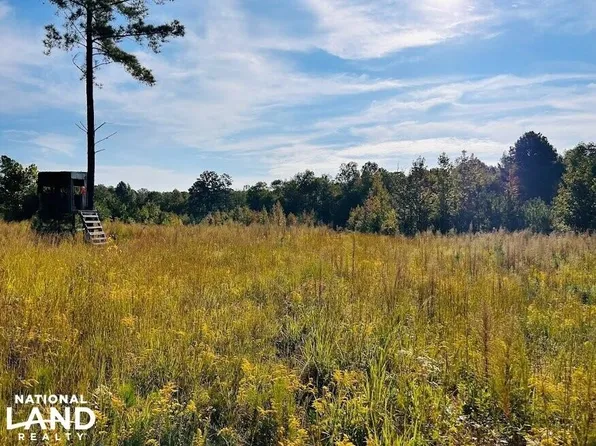 0 County Road 205, Fruithurst, AL 36262