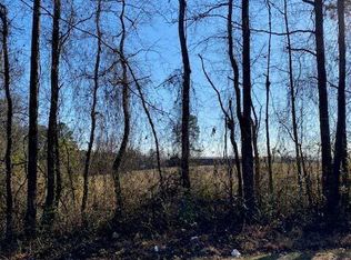 4 Bunnlevel Erwin Rd, Erwin, NC 28339