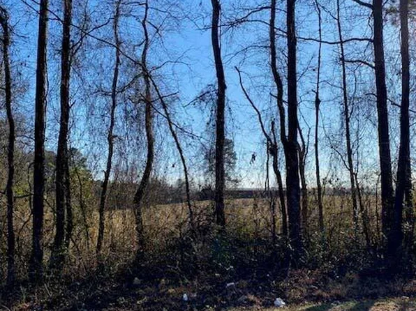 4 Bunnlevel Erwin Rd, Erwin, NC 28339